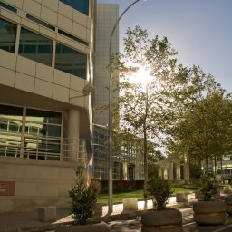 Office building exterior viewed from the street