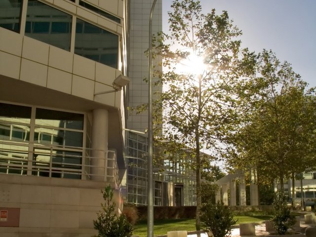 Office building exterior viewed from the street