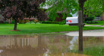 Facts and Myths about Flood Insurance