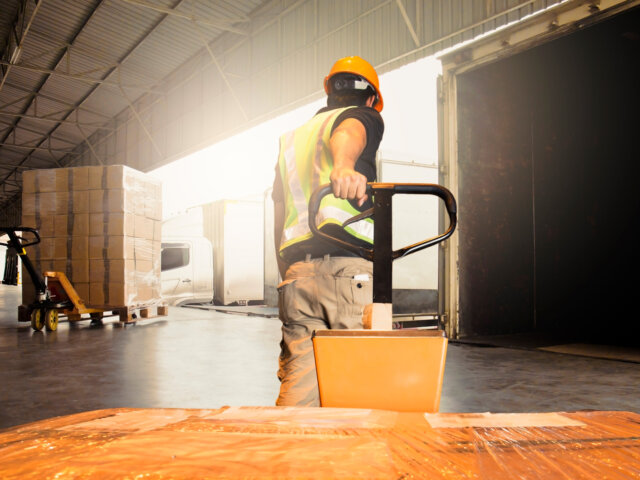 Man and pallet mover